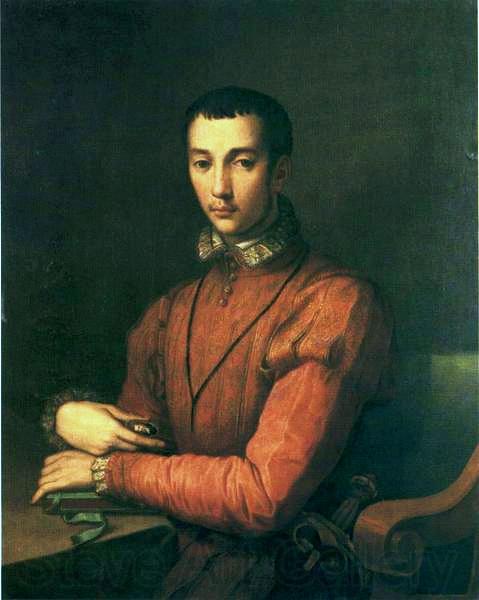 Alessandro Allori Portrait of Francesco de' Medici. Spain oil painting art